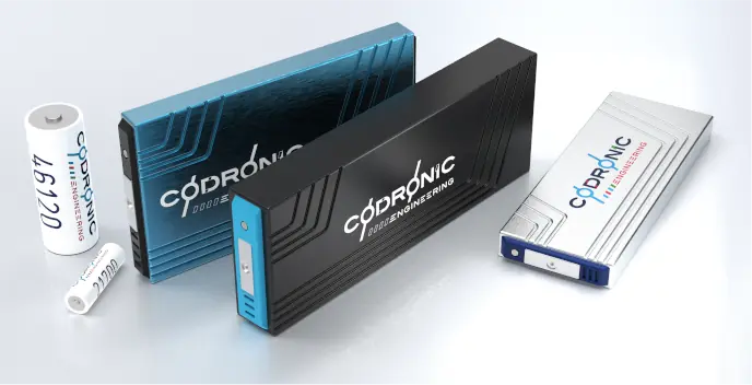 Ein Bild das 5 Batteriezellen in unterschiedlichen Größen zeigt.